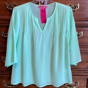 Almost Pink sheer blouse